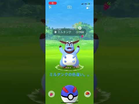 ポケモンgo ミルタンクの色違いがもはや治療受けてレベル Shorts ポケモンgo実況動画まとめch