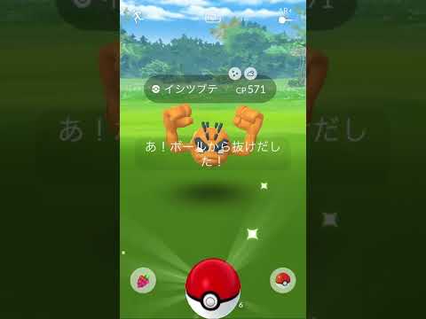 ポケモンgo 色違い アローラ イシツブテ 発見 ポケモンgo実況動画まとめch