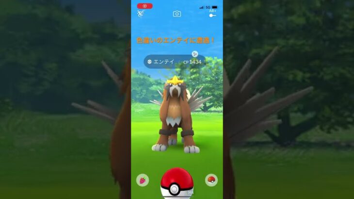 ポケモンgo ジョウトツアーで色違いのエンテイに遭遇 Shorts ポケモンgo実況動画まとめch