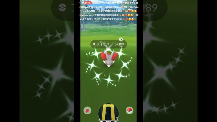 ✨【ポケモンGO】夢追い人✨正真正銘神回神引き炸裂✨🤲🏼❤️‍🔥☺️🥰✨@CRYSTALQUARTZM✨本当に胸キュンキュンした✨可愛い野生✨色違いフォッコちゃんの可愛い威嚇がこちら✨🦊🥰