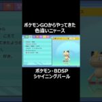 『ポケモンGOからやってきた色違いニャース』#shorts #Pokémon #BDSP #ショート