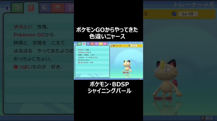 『ポケモンGOからやってきた色違いニャース』#shorts #Pokémon #BDSP #ショート