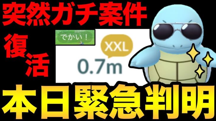 一気に激アツコミュデイに！海外で突然コンテストが復活！？XXL集め急げ！カメックスの重要個体解説も【 ポケモンGO 】【 GOバトルリーグ 】【 GBL 】【  】