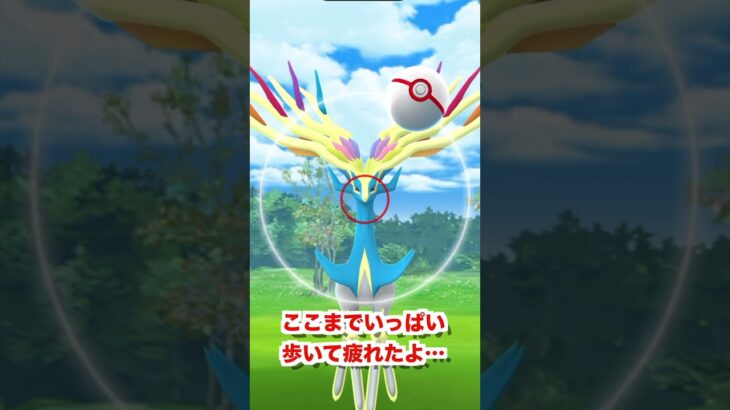 【美神】GO FEST 2023 大阪でゲットした色違いゼルネアスを美しすぎたんだがww【ポケモンGO/Niantic】