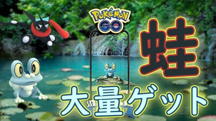 【ポケモンGO】目指せ色違い100％！ケロマツの色違いを乱獲！【コミュニティデイ】