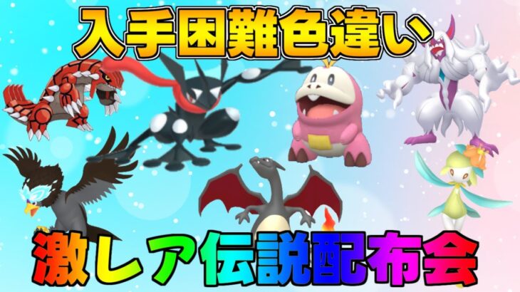 ポケモンSV 激レア色違い・伝説配布会 色違いホゲータ、ヒトカゲ、ケロマツ、