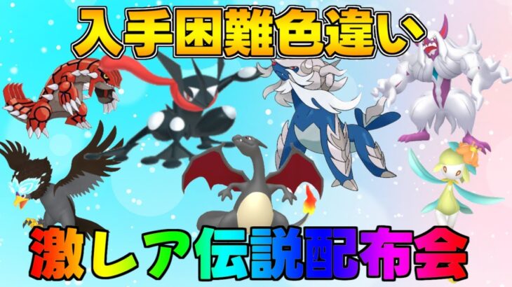 ポケモンSV 激レア色違い・伝説配布会 色違いヒトカゲ、ケロマツ、ヒスイダイケンキ