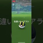 ポケモンGO 色違いヒノアラシ出現！ #pokémon #ポケットモンスター