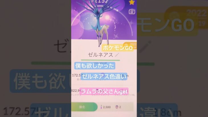 【ポケモン】ポケモンGO　ラムラの父さんゼルネアス色違いget✡　#ポケモンGO#ポケモン#ポケカ#shorts