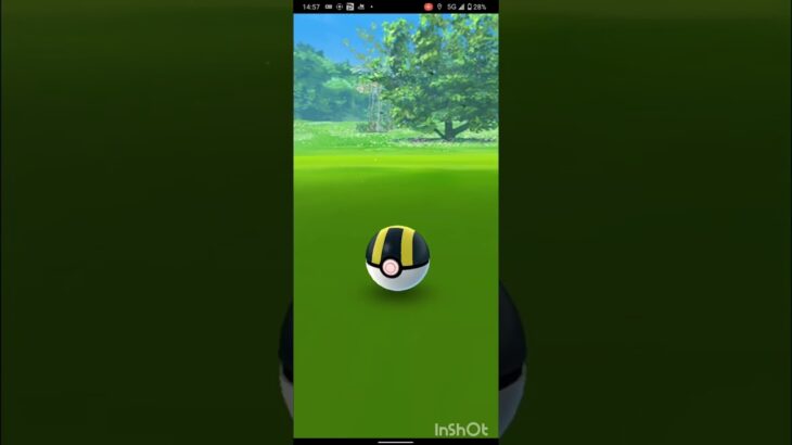 PokemonGO　オンバット　色違い