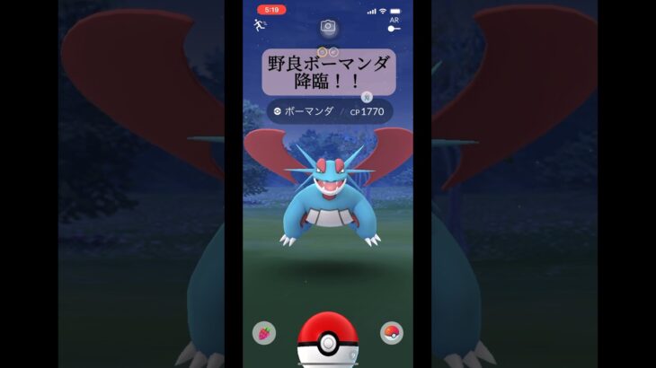 【ポケモンGO】野生のボーマンダ現る！果たして個体値は？#shorts