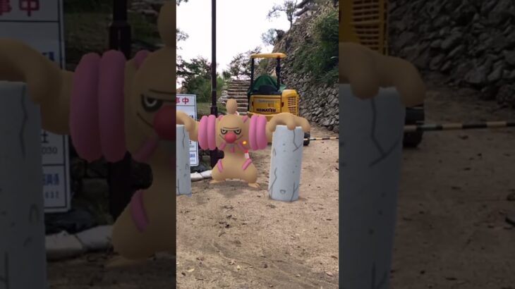 ローブシン｜Conkeldurr｜がんばリボン【ポケモンGO】PoKeMoN GO AR｜AR動画｜NianticAR｜gophotobomb｜GOsnapshot｜淡路島