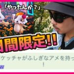 【ポケモンGO】ガチ理論派系男子「俺ならこう狙うねぇ…。」死者の日2023で『色違い花飾りカラカラ』を狙え！２日間で色違いに出会うための「秘密の戦略」教えちゃいまスペシャル♡【最終日限定ボーナス】