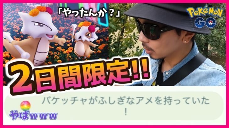 【ポケモンGO】ガチ理論派系男子「俺ならこう狙うねぇ…。」死者の日2023で『色違い花飾りカラカラ』を狙え！２日間で色違いに出会うための「秘密の戦略」教えちゃいまスペシャル♡【最終日限定ボーナス】