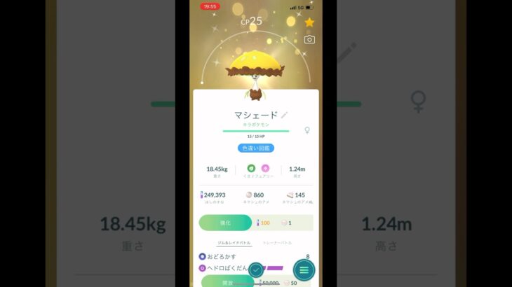 【色違いネマシュ】探検で小ぶりなキノコがキラったよ【色違いマシェード】【ポケモンGO】548