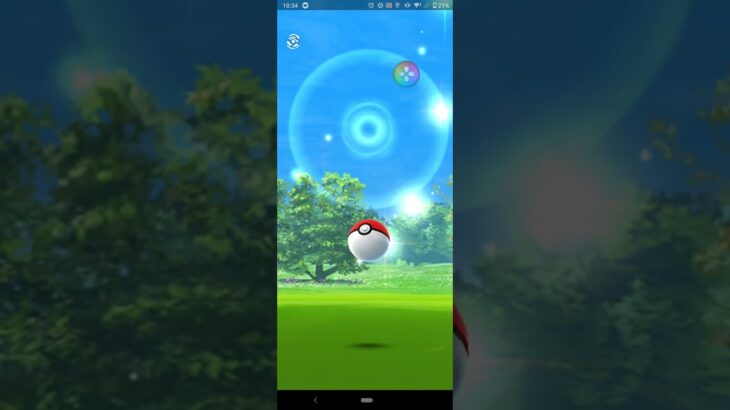 20231204のポケモンgoのハネッコ