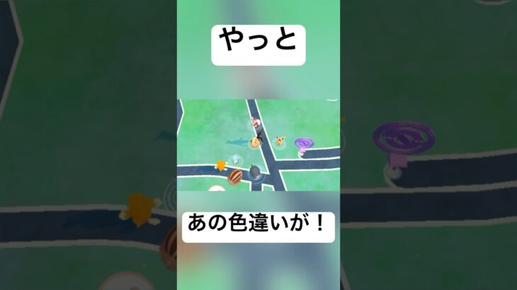 『ポケモンGO』あのポケモンの色違いが！#pokemon #pokemongo #ポケモンgo #ポケモン #gbl #ゲーム #ゲーム実況 #色違い #shorts #short