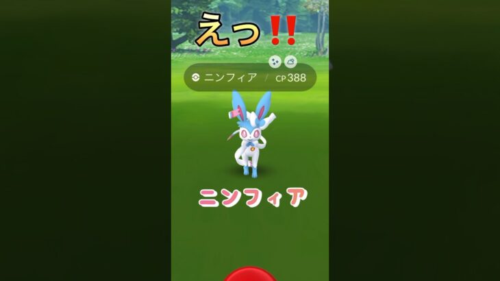 ポケモンGO ニンフィア　Sylveon Pokémon GO
