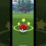 久々にゾロアがいたメタモンの方が欲しい#ポケモンGO#ゾロア