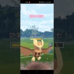 耐久高いポケモンだけ使った結果…#初心者育成日記三十三日目#初心者 #ポケモンgo #おすすめにのりたい #ポケモン #初心者育成日記