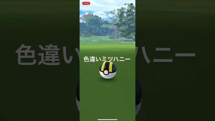 ポケモンGO 色違いミツハニー出現！