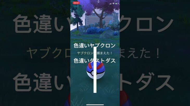 ポケモンGO 色違いヤブクロン出現！色違いダストダスへ進化！ #pokémon #ポケモン