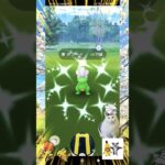 【Pokémon GO】色違いタツベイGETだぜっ！（復刻コミュニティ・デイ）feat.やっとこさ色違いカビゴンもGET！！with熊本ポケモンGO