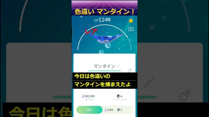 【ポケモンgo】色違い マンタイン ゲット！ #shorts #pokemon #pokemongo