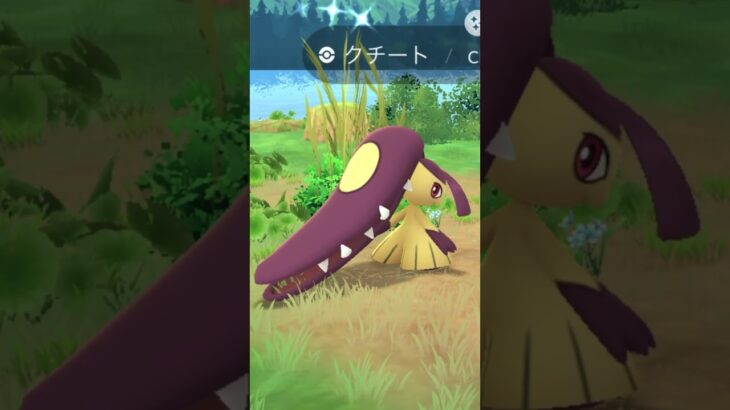 ポケモンGO  お待たせしました、クチートファンの皆様へ！ #ポケモンgo #色違い #クチート