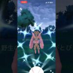 [Pokemon GO] 野生の色違いミミロップ初ゲット[進化形] #pokemon