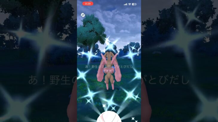 [Pokemon GO] 野生の色違いミミロップ初ゲット[進化形] #pokemon