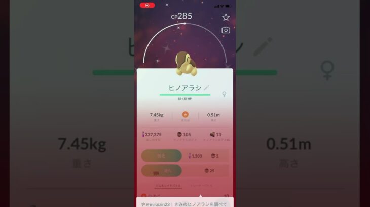 さて、2024年6月22日のPokémon GO ヒノアラシ コミュニティデイで、出てきてくれた1体目の色違いヒノアラシ♀ 個体値は？ #shorts