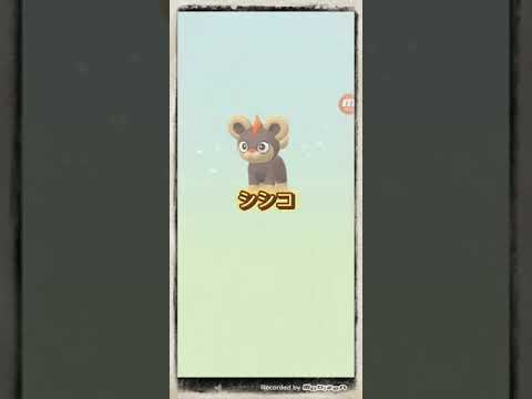 色違いメラルバゲットなるか？5キロ卵4連割り　#ポケモンGO　#shorts