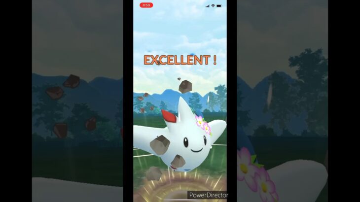 【ポケモンGO】ハイパーリーグ　花飾りを付けたトゲキッス