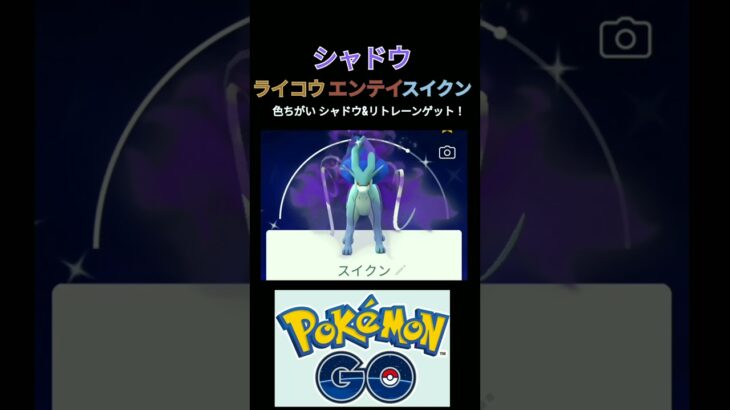 色違い ライコウ エンテイ スイクン シャドウ&リトレーン コンプリート ポケモンGO