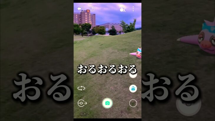 【一期一会】ある日のサラリーマンの帰り道【ポケモンGO】　#ポケモン #ポケモンgo #pokemon #ポケgo #pokemongo #shorts