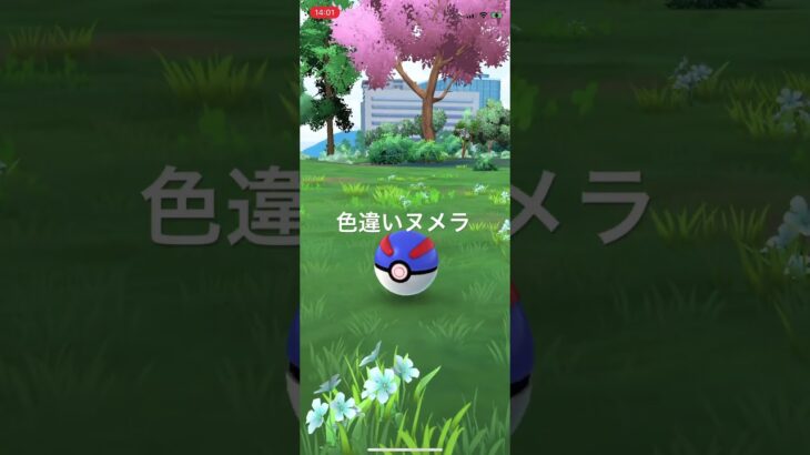 ポケモンGO 色違いヌメラ出現！ #pokémon #ポケモン #ポケモンgo