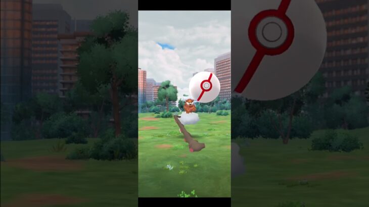 【ポケモンGO】ランドロス(けしんフォルム)のレイド。初心者がやるとこうなります。【20240415 PokemonGO Landorus】