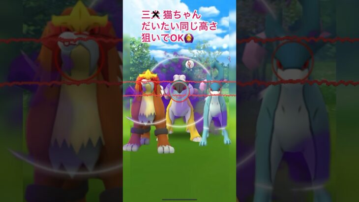 《ポケモンGO》見習いMゅによるエクセレント捕獲動画〜ライコウ編〜