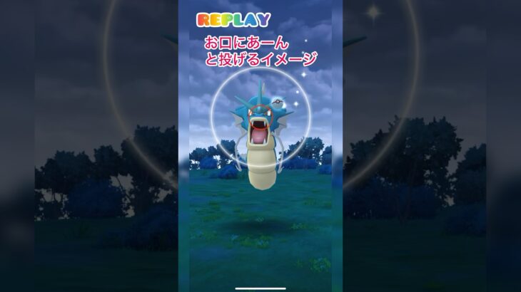 《ポケモンGO》見習いMゅによるエクセレント捕獲動画〜ギャラドス編〜