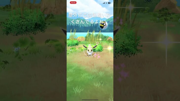 【ポケモンGO】意外にこの色違いたくさん出る気がする！可愛い色違いイーブイ💕#pokemon #pokemongame #ポケモンgo #pokemongo #ポケモンgo色違い #shorts