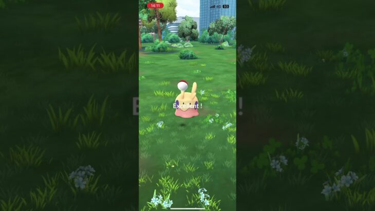 ポケモンGo 色違いヌメラ　Pokémon GO