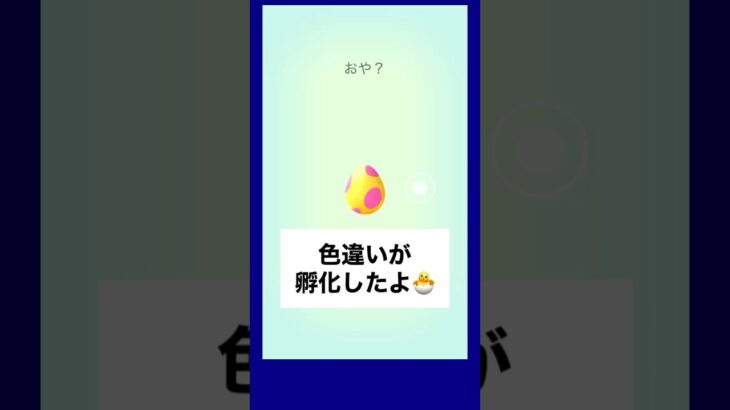 【PokemonGO】色違いが孵化したよ #ポケモンgo #pokemongo