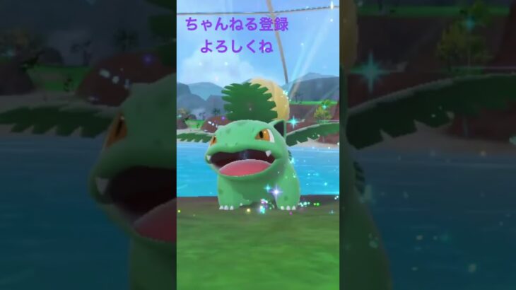 色違いフシギダネ進化！ #gameplay #ポケモン #ポケモン25周年 #ポケモンsv #ポケモン151 #ポケモンgo #ダブルチェイン3弾 #pokemongame