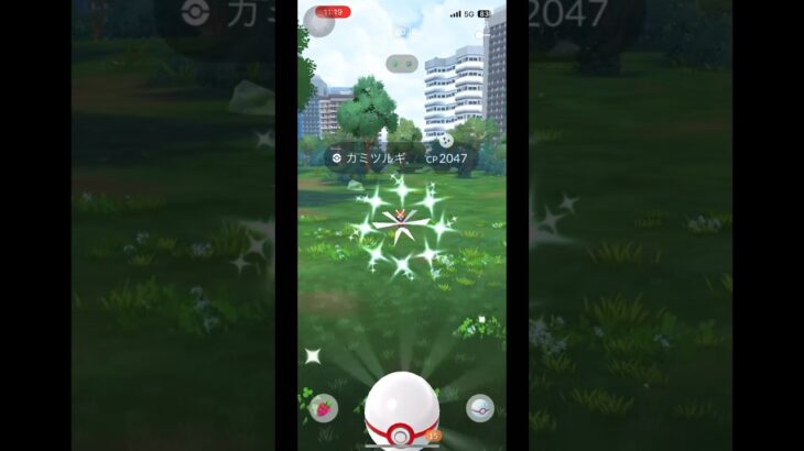 カミツルギ色違い＆背景チャレンジ 5戦 前回の雪辱を晴らす！ #shorts #pokemongo #pokemon #ポケモンgo #カミツルギ #ポケモンgo色違い #ウルトラビースト襲来