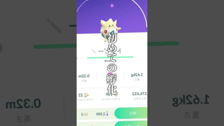 ポケモンGO初心者の成長記録