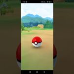 ポケモンGO初心者　ストライク色違いゲット！