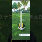 色違いトゲデマル捕獲【ポケモンGO】※スポットライトアワー