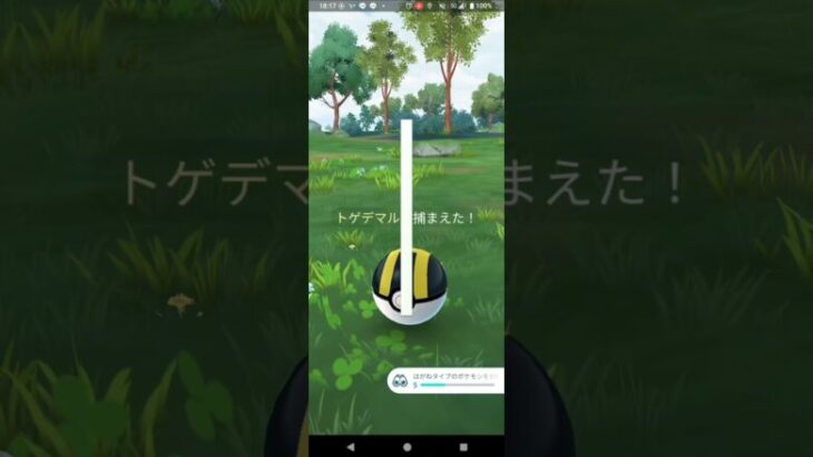 色違いトゲデマル捕獲【ポケモンGO】※スポットライトアワー