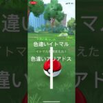 ポケモンGO 色違いイトマル出現！色違いアリアドスへ進化！ #pokémon #ポケモンgo